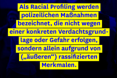 polizeiproblem_racialprofiling1